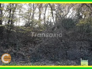 Terrain à bâtir à vendre Lunery (VAZ36399)