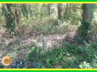 Land for sale Lamotte-Beuvron (VAZ48398)