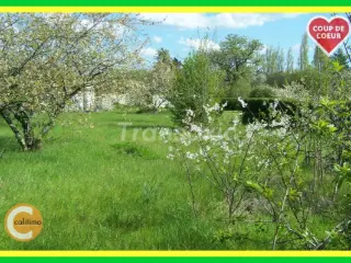 Land for sale Saint-Florent-sur-Cher (VAZ48675)