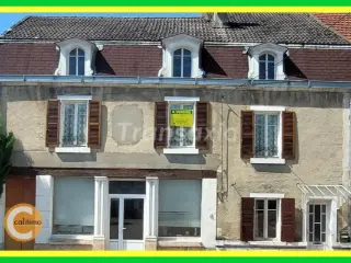 Huis te koop Ravières (VAZ71044)