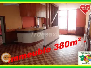 Huis te koop Mehun-sur-Yèvre (VAZ75353)