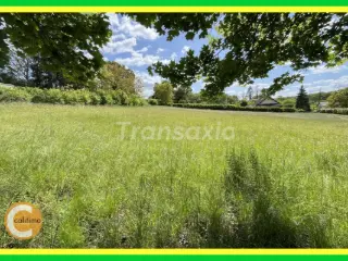 Land for sale Châteauneuf-sur-Cher (VAZ79685)