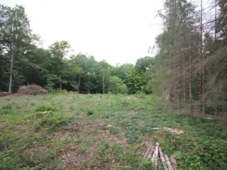 Bouwgrond te koop Roly (VAZ79894)