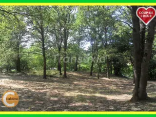 Terrain à vendre Ainay-le-Château (VAZ87296)