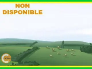 Terrain à vendre Bourges (VAZ88399)