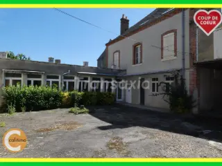 Maison à vendre Argent-sur-Sauldre (VAZ88998)