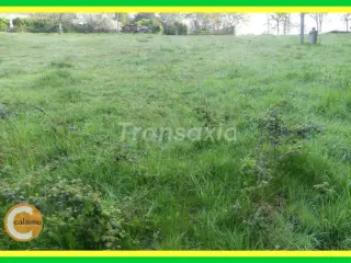 Terrain à vendre Langeais (VAZ89712)