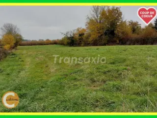 Terrain à bâtir à vendre Doyet (VAZ91690)