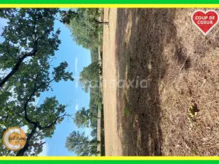 Terrain à bâtir à vendre Doyet (VAZ93590)