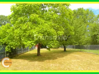 Maison à vendre Léré (VAZ96568)