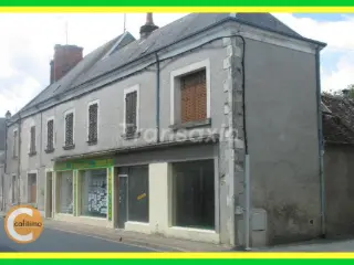 Maison à vendre Mézières-en-Brenne (VBA07573)