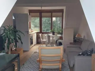 Kot te huur Watermaal-Bosvoorde (VBA81628)