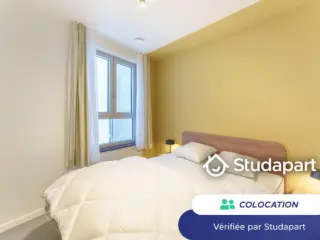 Kot à louer Anvers (VBA81679)