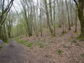 Grond te koop Oignies-En-Thiérache (VBB06780)