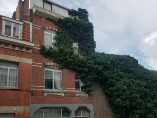 Maison à vendre Molenbeek-Saint-Jean (VBB07363)