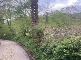 Bouwgrond te koop Couvin (VBB11392)