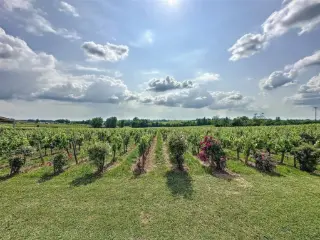 Land for sale Lussac (VBB17387)