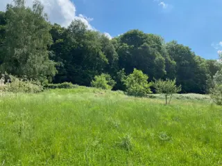 Grond te koop Aiseau (VBB21418)