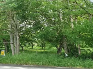 Development site for sale Hautrage (VBB21652)