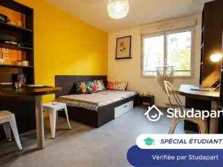 Kot te huur Lyon (VBB26541)