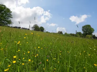 Land for sale Tenneville (VBB30901)