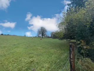 Terrain à vendre Bièvre (VBB41814)