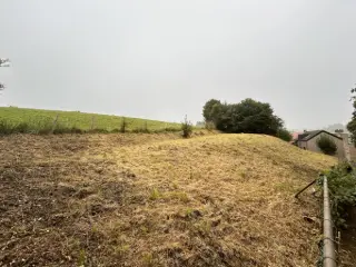 Terrain à vendre Dison (VBB60838)