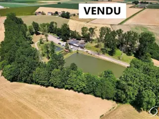 Handelspand te koop Liberchies (VBB88747)