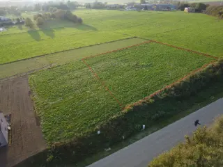Terrain à bâtir à vendre Fize-Fontaine (VBC02952)