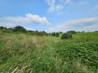 Terrain à bâtir à vendre Musson (VBC10526)