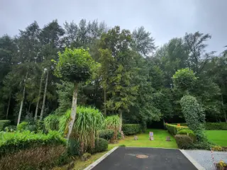 Grond te koop Ham-sur-Heure-Nalinnes (VBC11264)