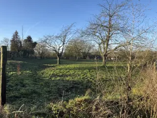 Land for sale Havré (VBC13550)