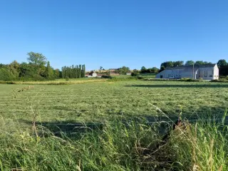 Bouwgrond te koop Renlies (VBC16150)