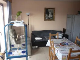 Studio te koop Fleurus (VBC31117)