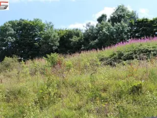 Bouwgrond te koop Francorchamps (VBC33047)