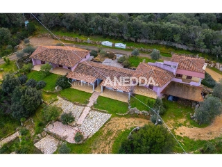 Business surface for sale Olbia (VBC35199)