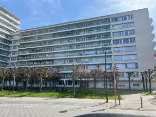 Appartement à vendre Evere (VBC39454)