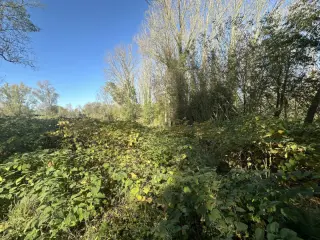 Terrain à vendre Ogy (VBC42337)