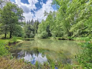 Grond te koop Mussy-la-Ville (VBC48237)