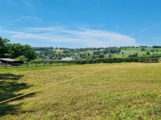 Land for sale Waimes (VBC53077)