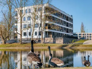 Appartement à vendre Jambes (VBC59365)