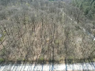 Other for sale Érezée (VBC61246)