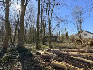 Land for sale Beaumont (VBC61319)