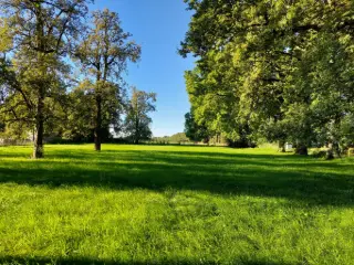 Grond te koop Argenteau (VBC63167)