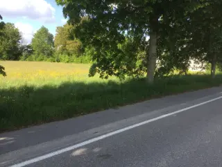 Land for sale Couvin (VBC66572)