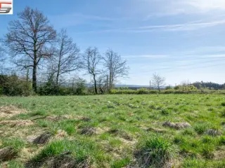 Terrain à bâtir à vendre Jalhay (VBC69317)