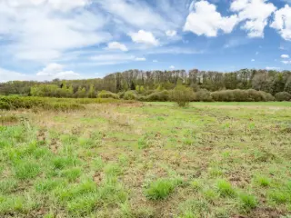 Terrain à bâtir à vendre Hotton (VBC69536)