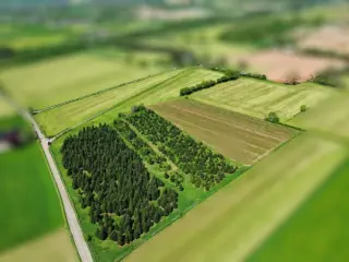 Landbouwgrond te koop Lontzen (VBC70074)