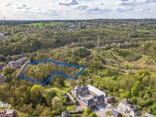 Bois à vendre Ampsin (VBC72316)