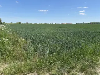 Land for sale Aubechies (VBC72340)